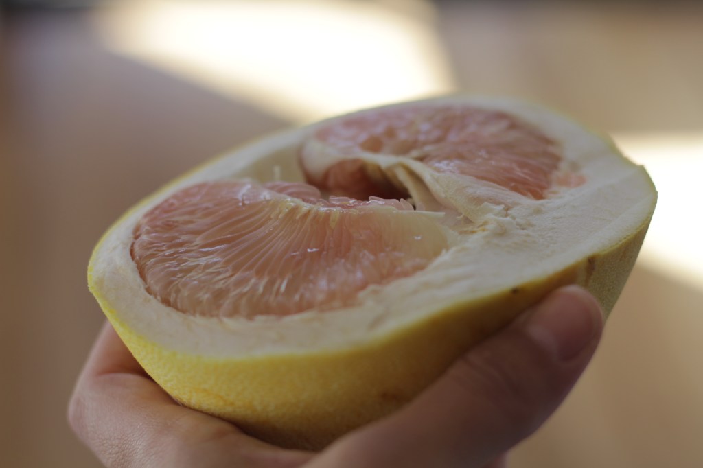 Freshly cut pomelo